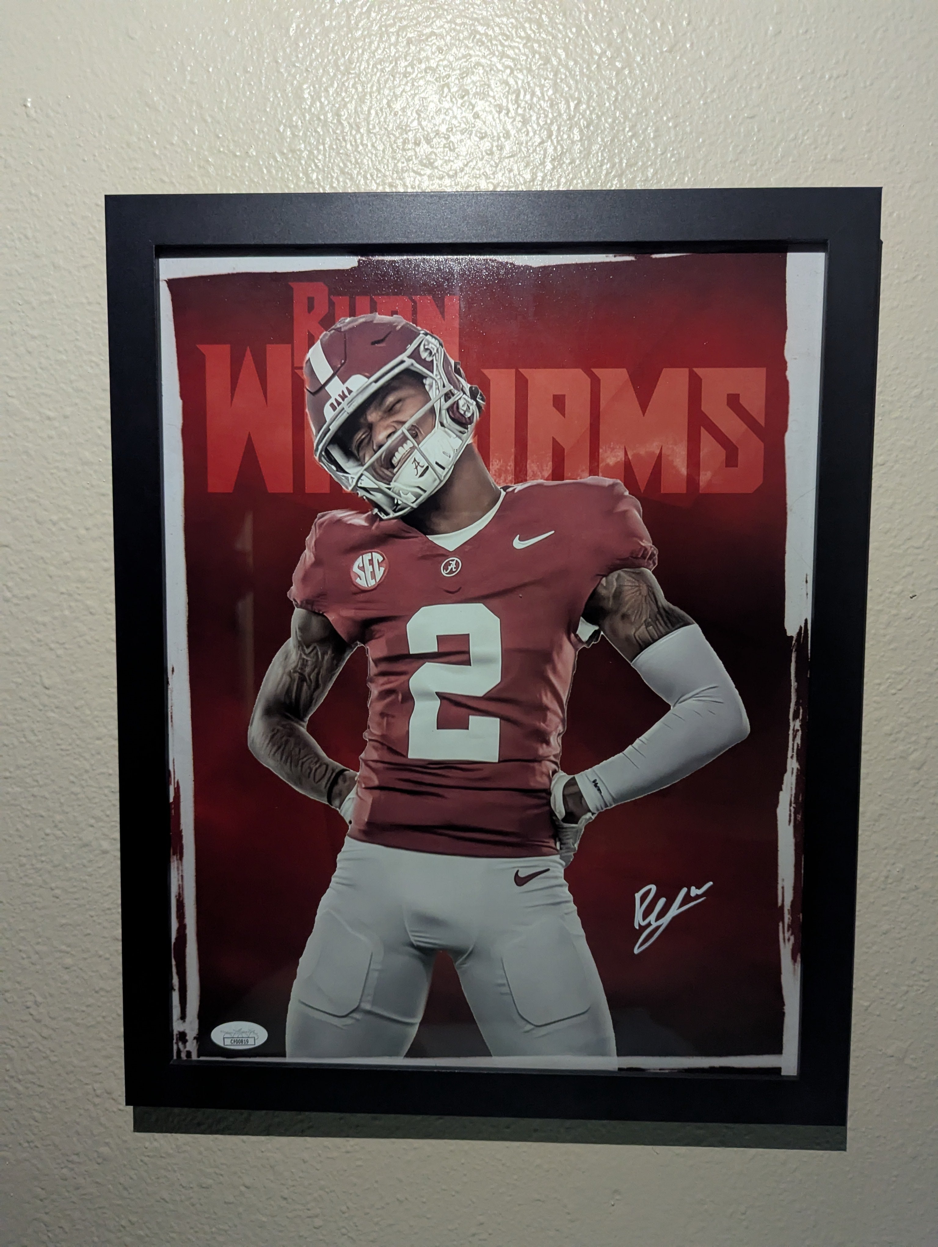 Ryan Williams - Signed 11x14 (JSA)