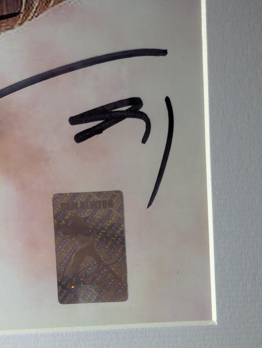 Signed Cam Newton 8x10 (Newton)