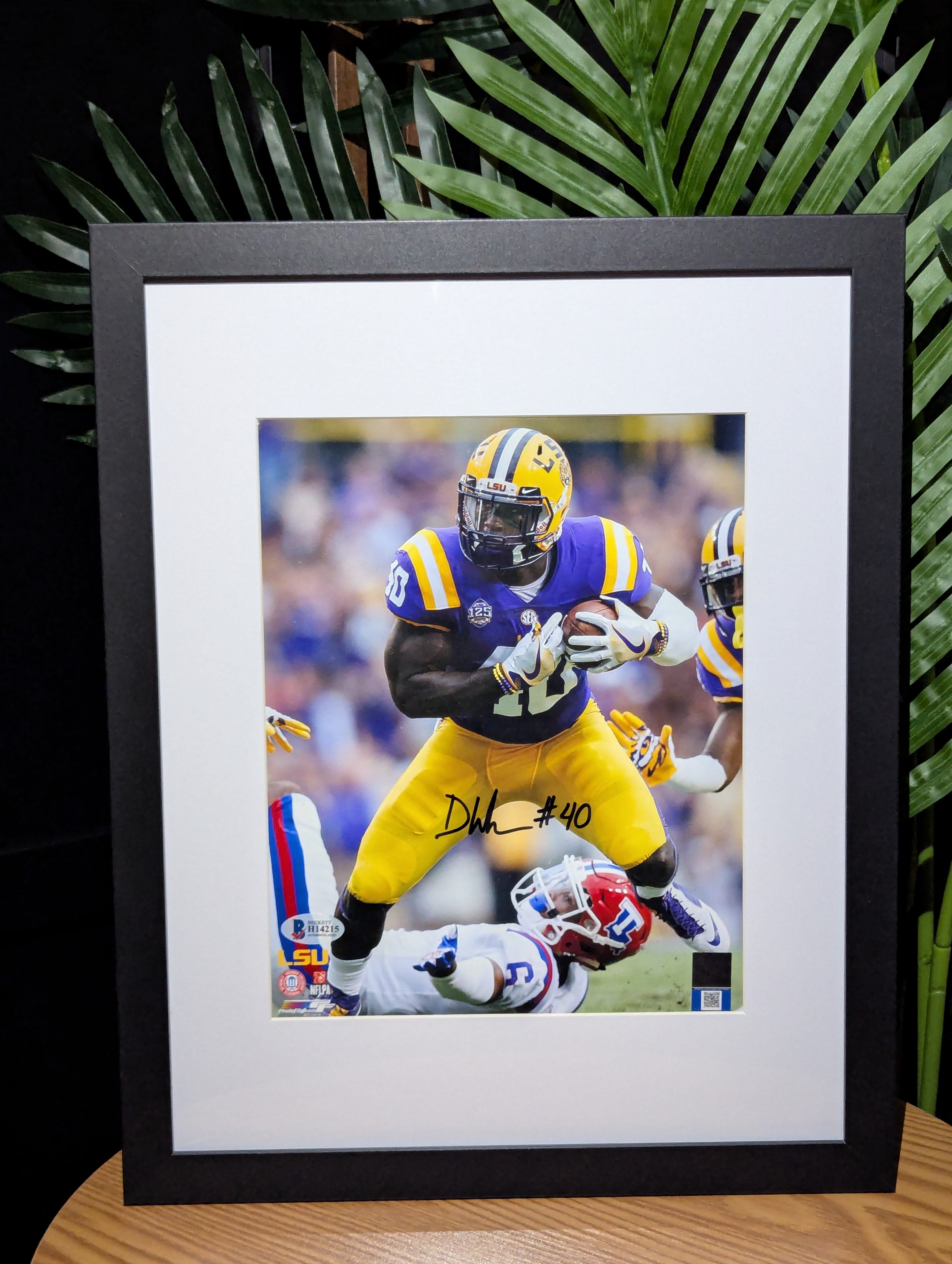 Devin White - Signed 8x10 (Beckett)