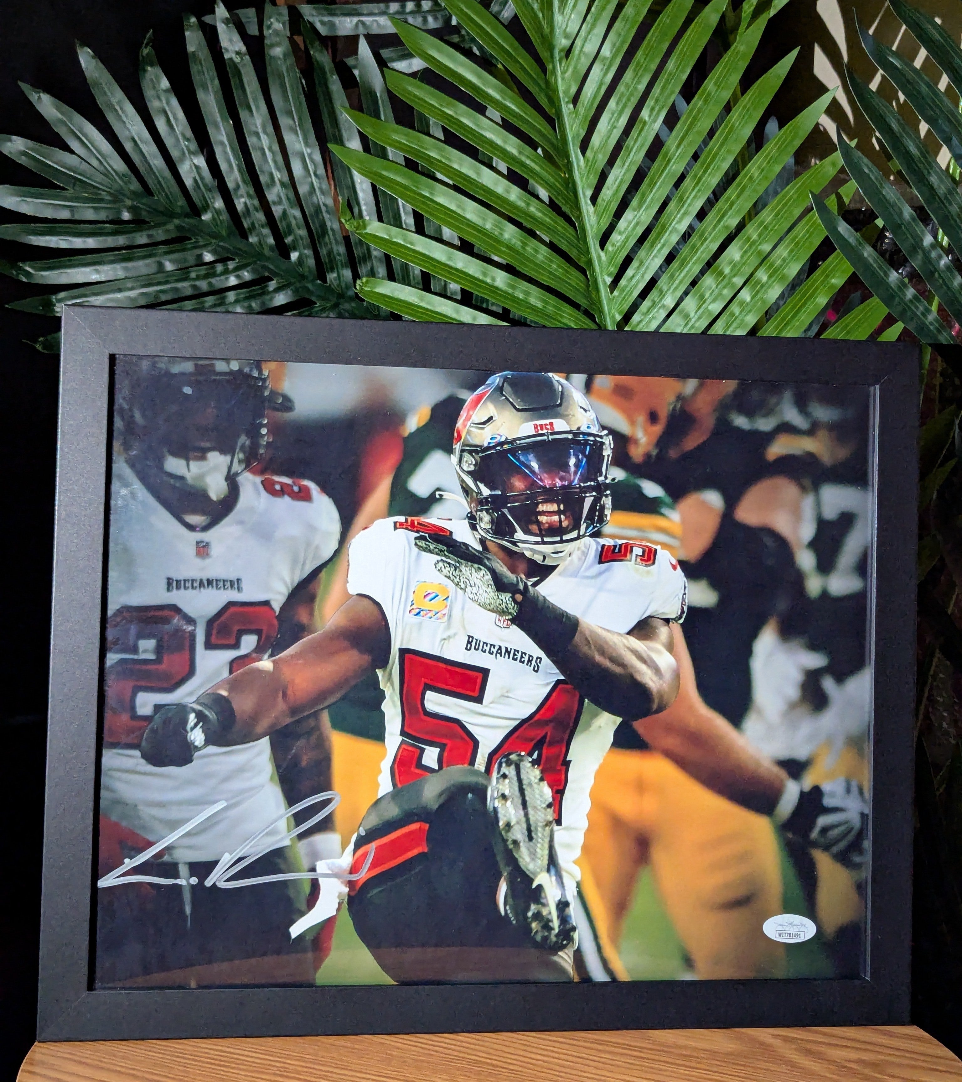 Lavonte David - Signed 11x14 (JSA)