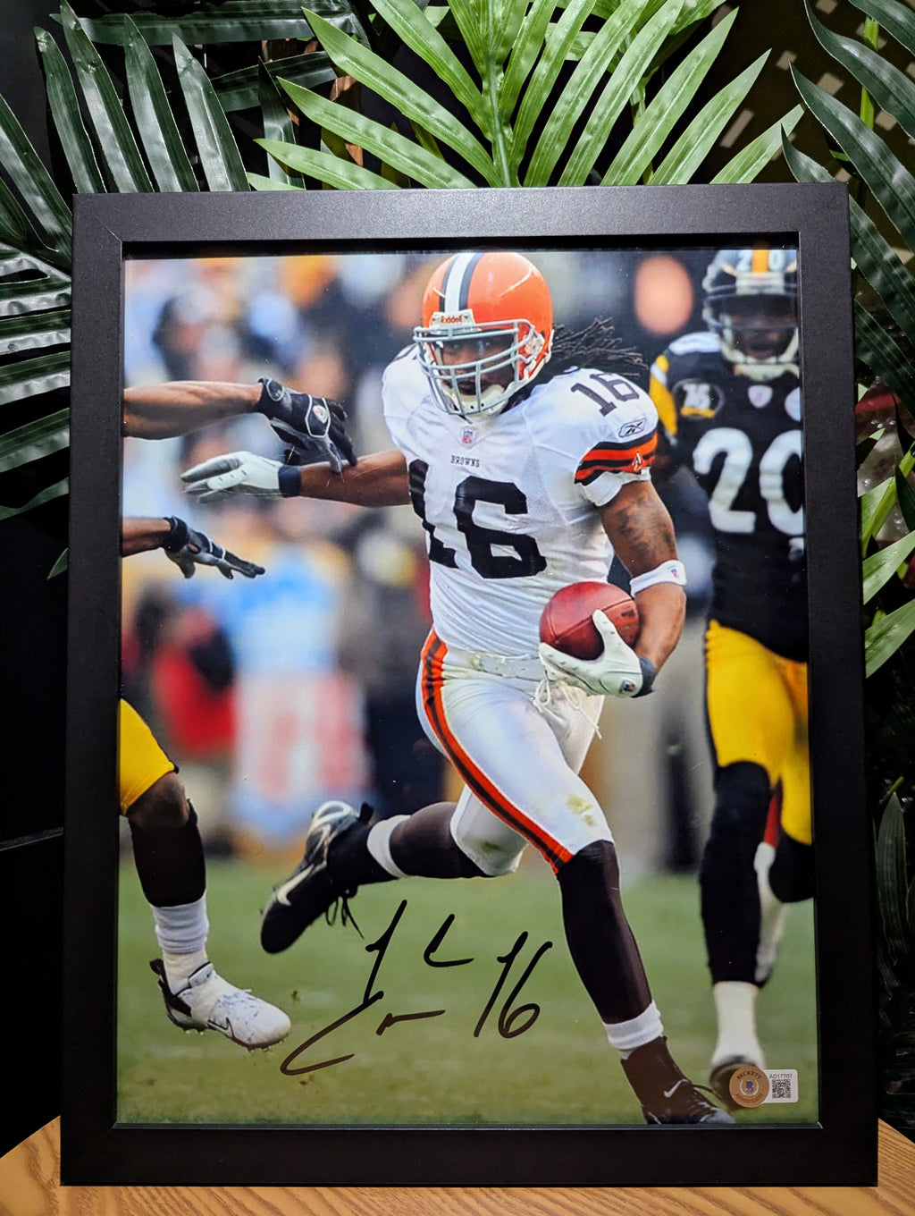 Signed Josh Cribbs 11x14 (Beckett)