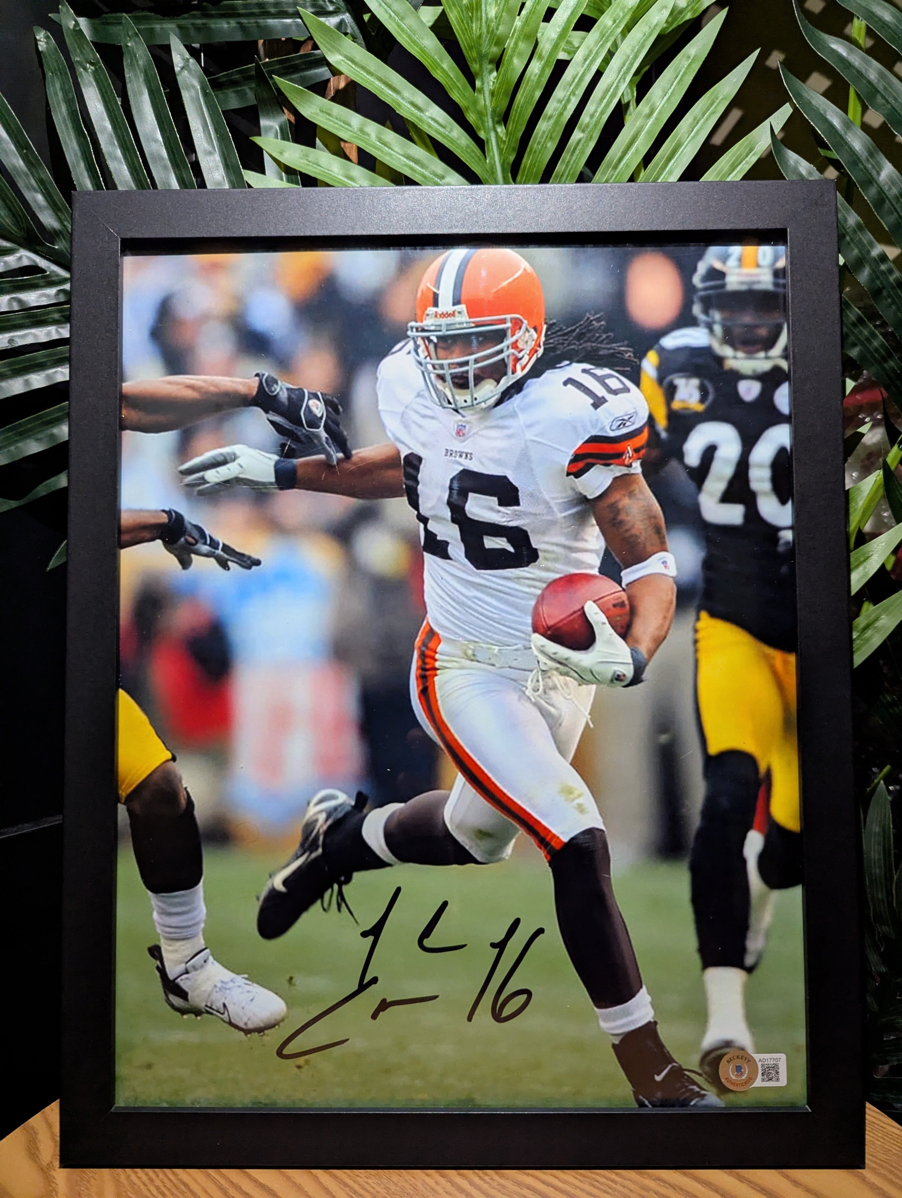 Signed Josh Cribbs 11x14 (Beckett)