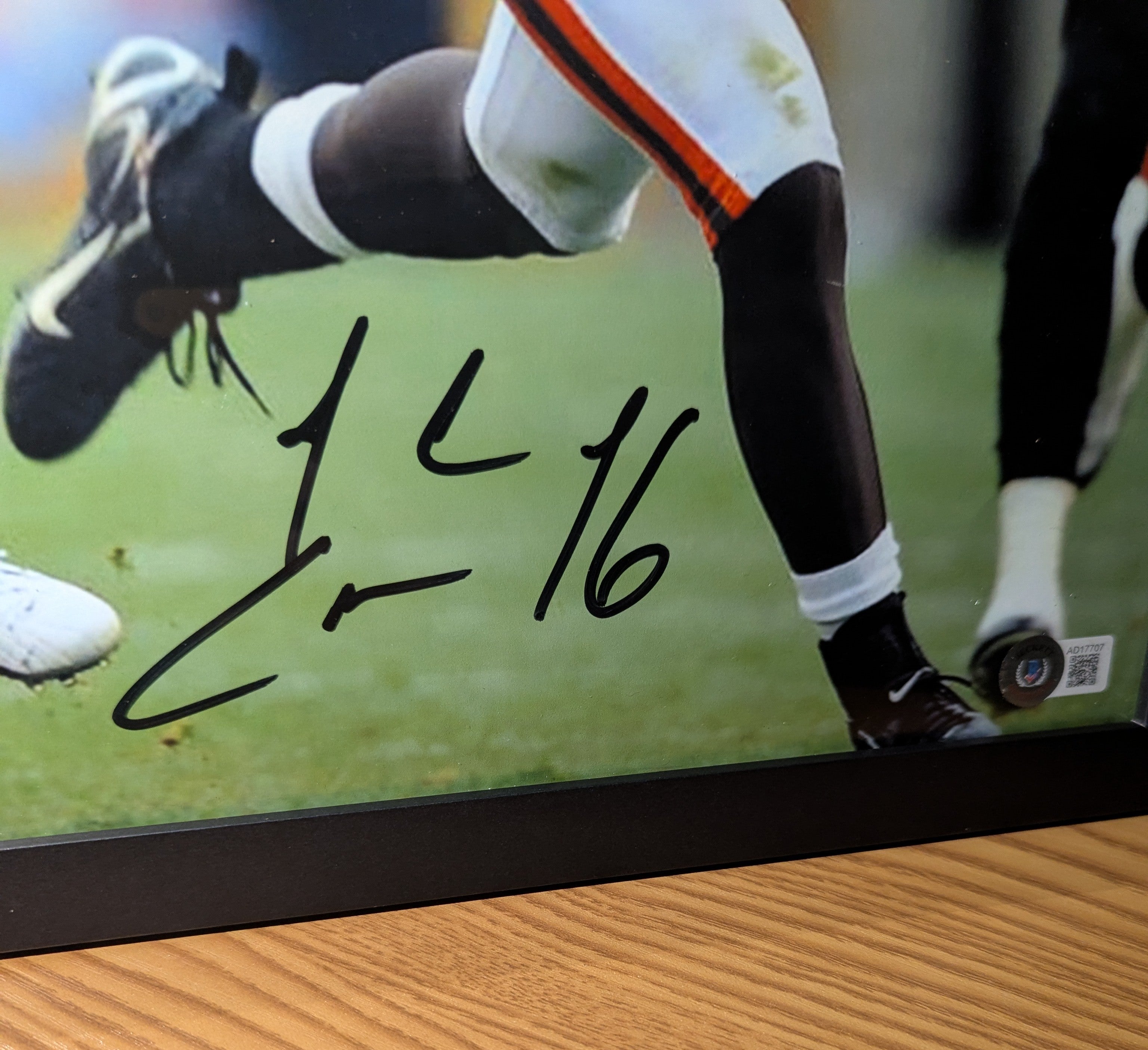 Signed Josh Cribbs 11x14 (Beckett)