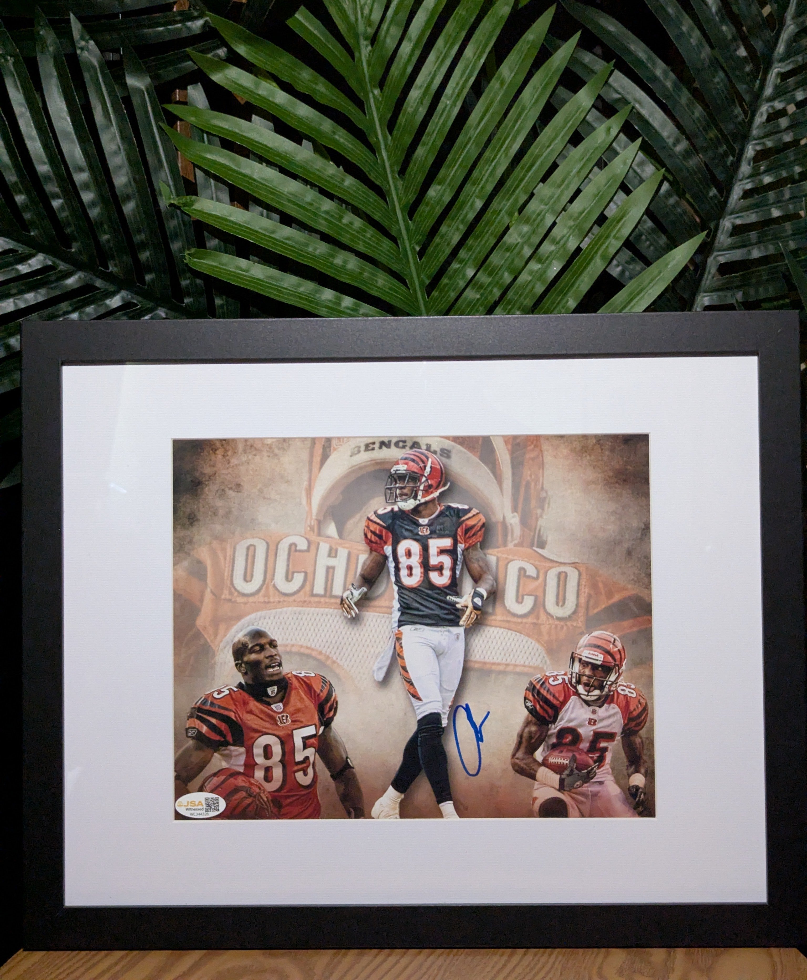 Signed Chad Johnson 8x10 (JSA)